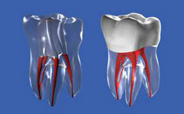 Images Dentaldigi Centro Ambulatoriale Odontoiatrico