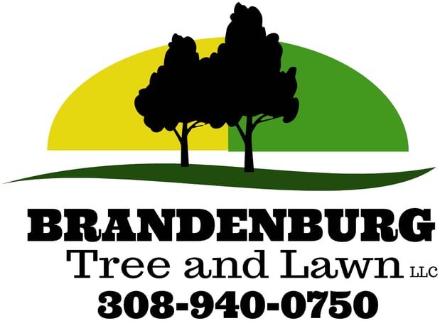 Images Brandenburg Tree & Lawn LLC