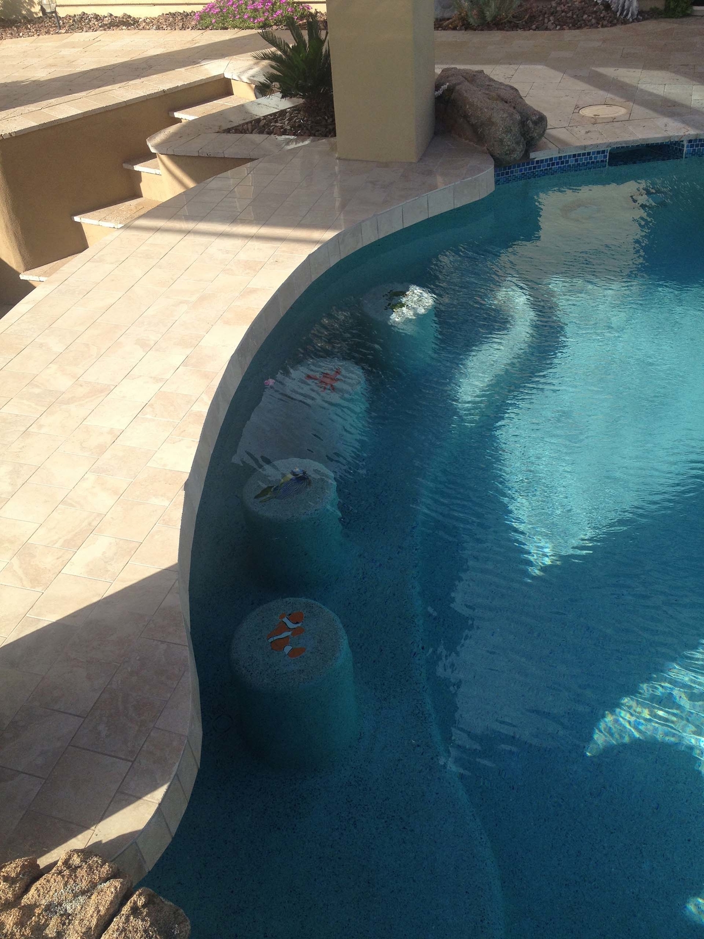 Images No Limit Pools & Spas