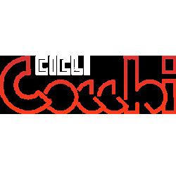 Cicli  Cocchi Logo