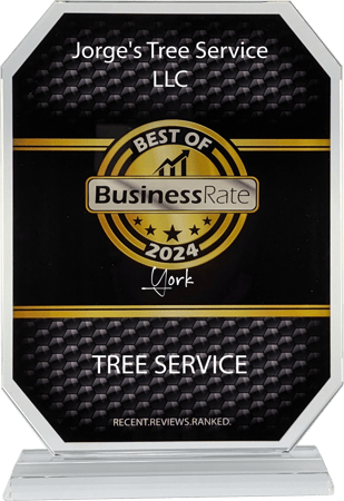 Images Jorge's Tree Service, LLC