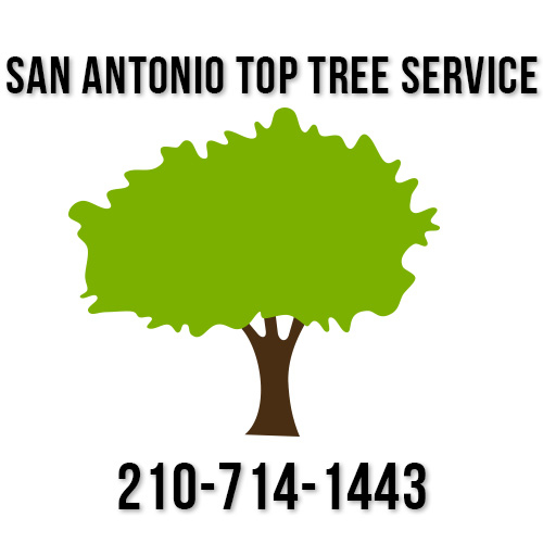 San Antonio Top Tree Service