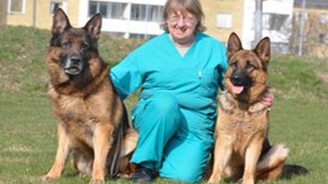 Images Karlskrona Djurklinik