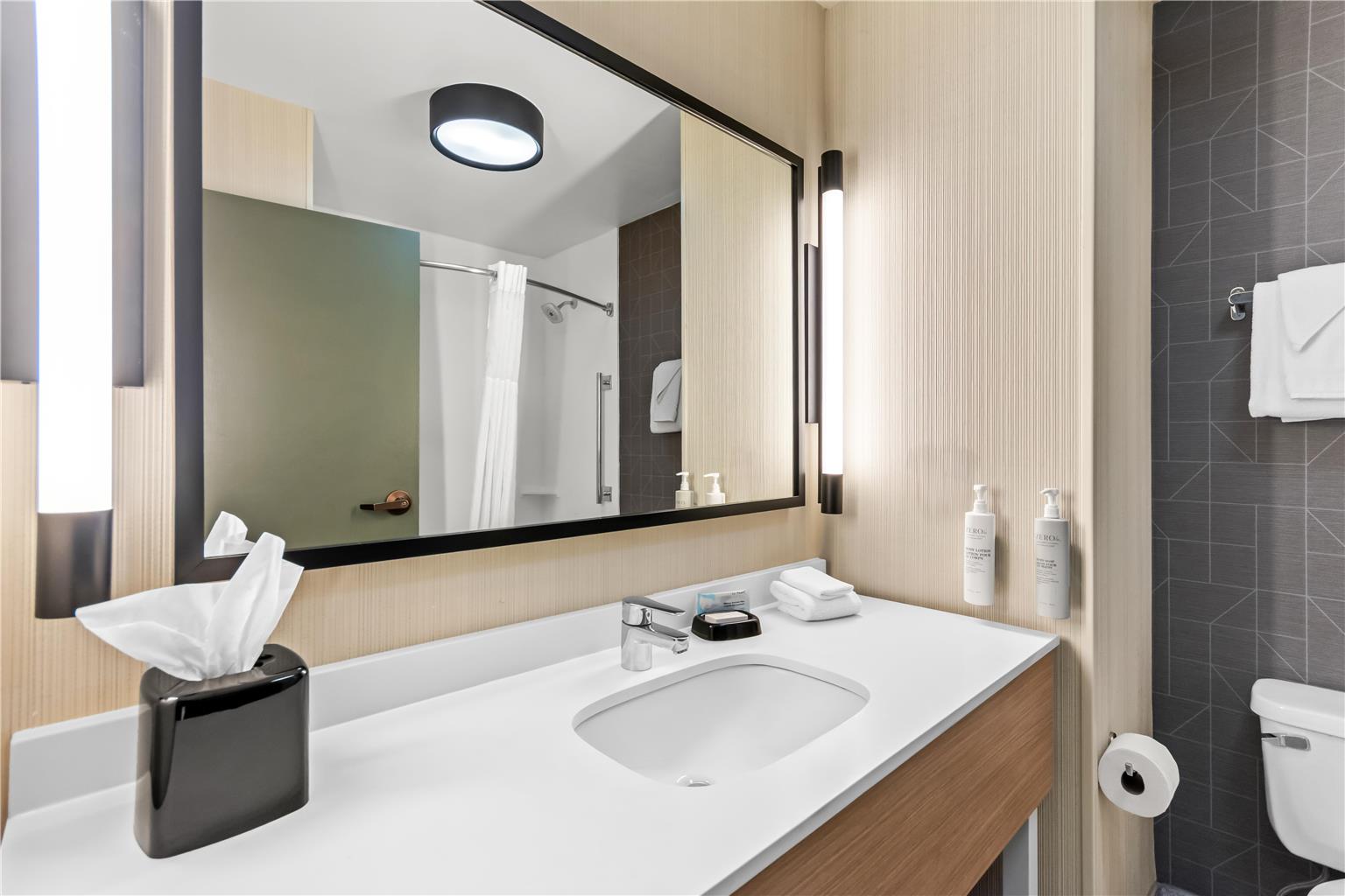Guest room bath 