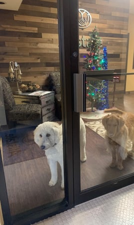 Images Regina Piunno: Allstate Insurance