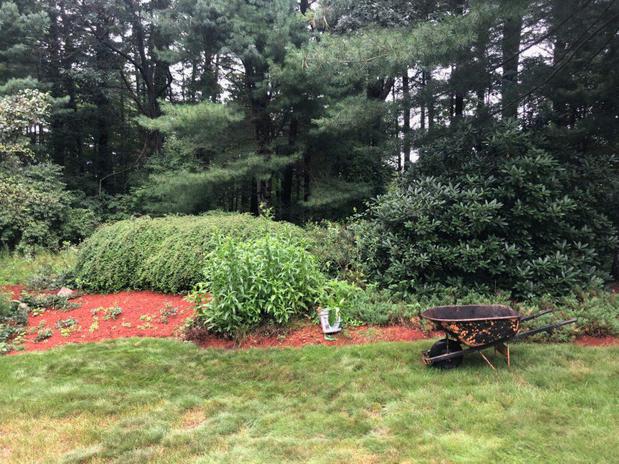 Images Greenleaf’s Garden Design