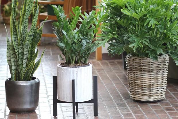 Images Conner Park Florist