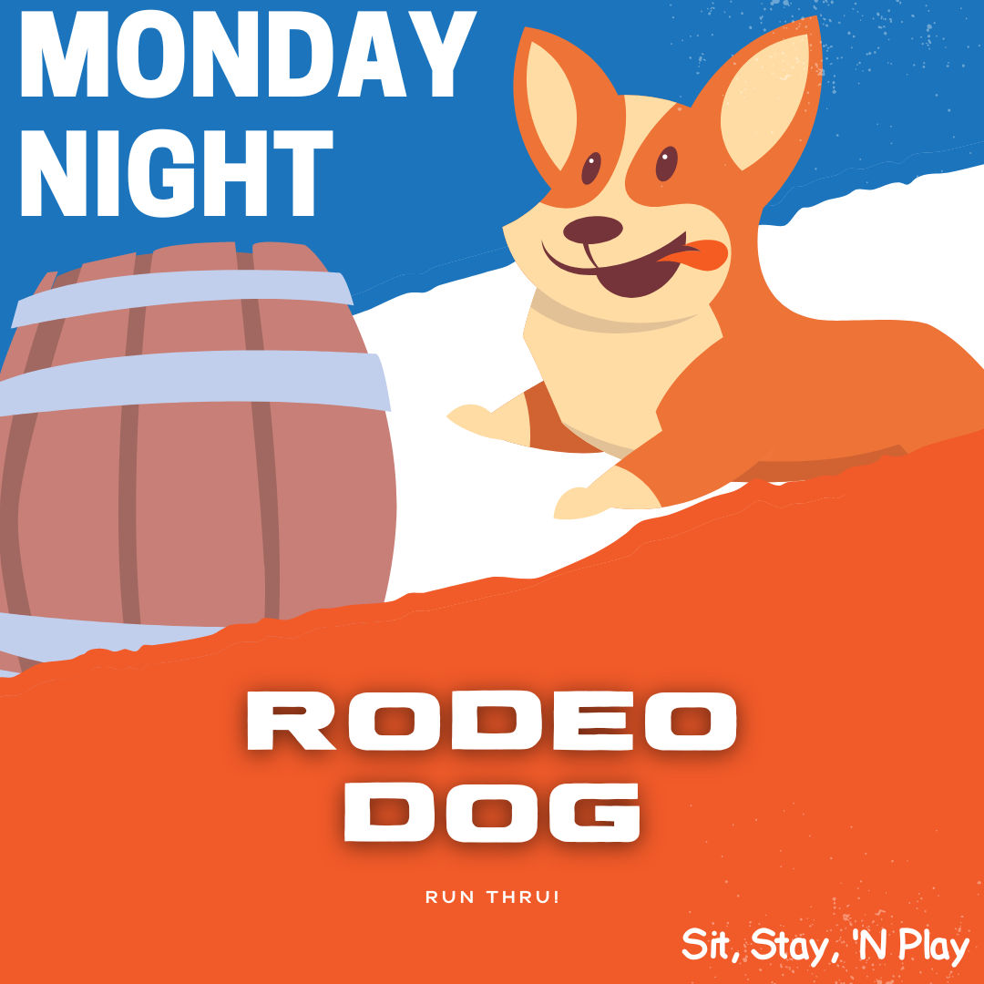 Best Dog Training And Pet Supply Store In Stroudsburg, PA