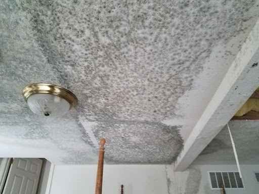 Images Steele Environmental Services