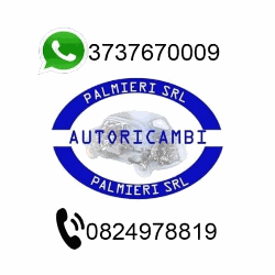 Autoricambi Palmieri Srl Logo