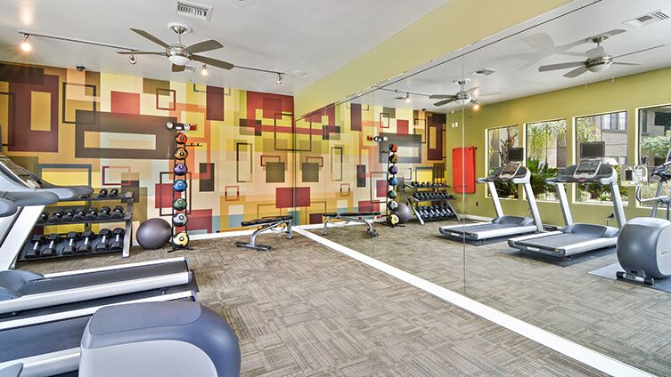 Montana Apartments For Rent Phoenix Az Montana Apartments For Rent Phoenix Az