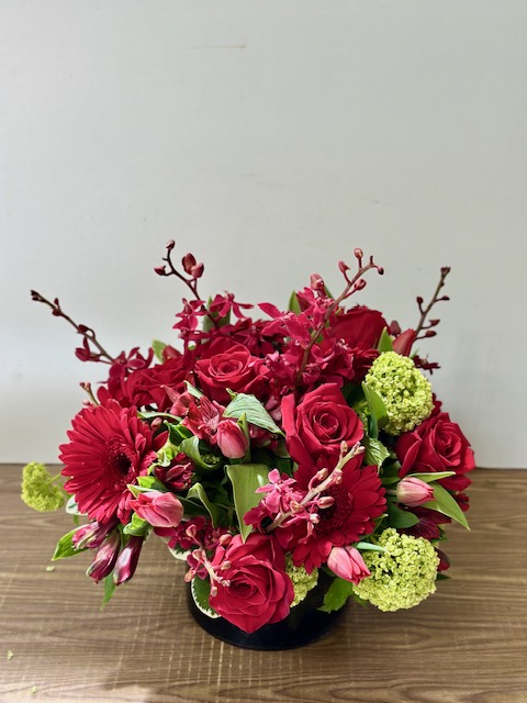 Images Jane's Roses & Flowers