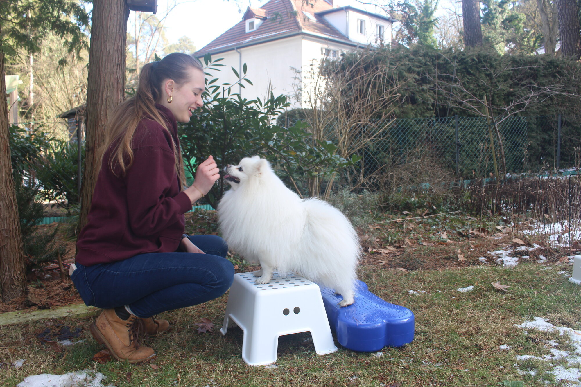 Tierphysio mit Franzi in Berlin
