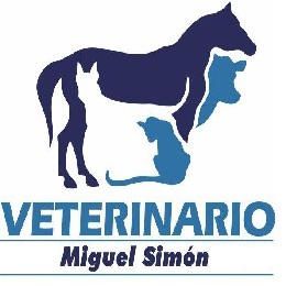 Miguel Simón Fernández Logo