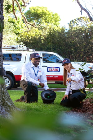 Images Clark Pest Control