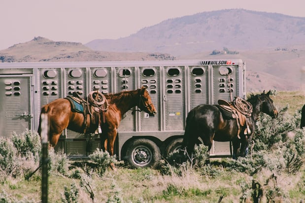 Images Equine Coach, LLC
