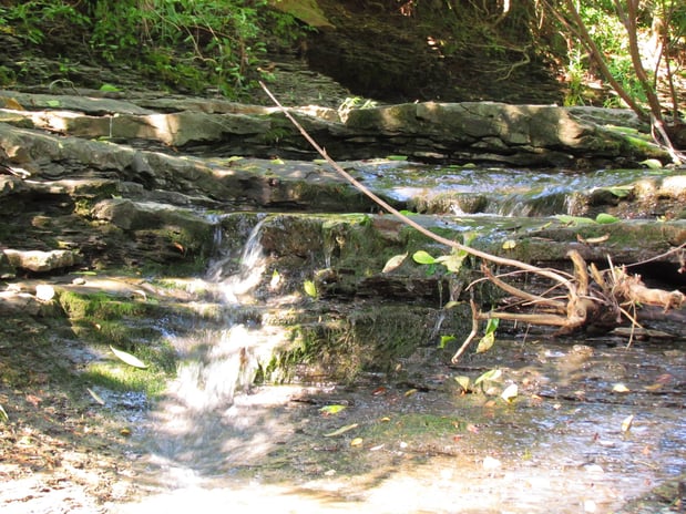 Images Project NatureConnect