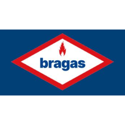 Bragas Srl Logo