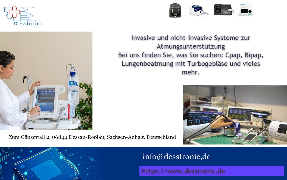 Desstronic UG, Zum Gänsewall 2 in Dessau-Roßlau