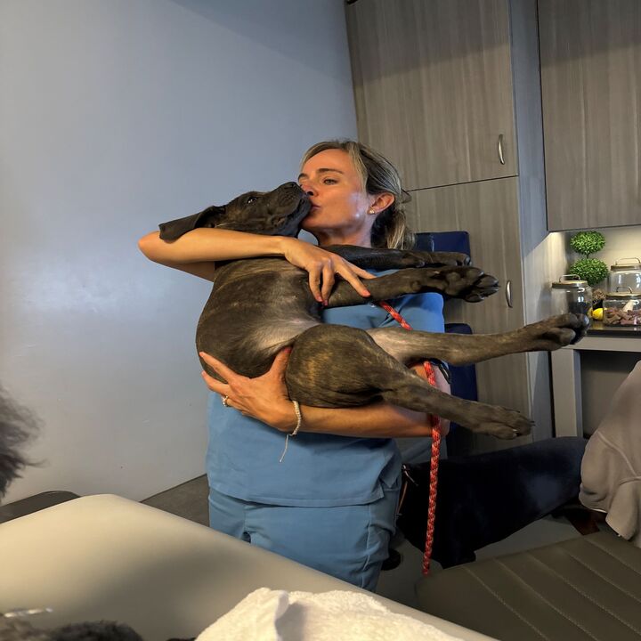 Images Carolina Veterinary Mobile Radiology  Inc