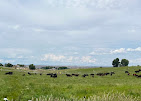 Images Shoemaker Lazy S Ranch