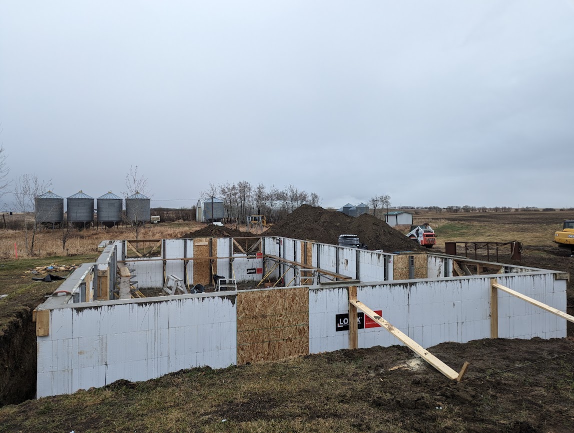 Images The Blue Spruce Builder