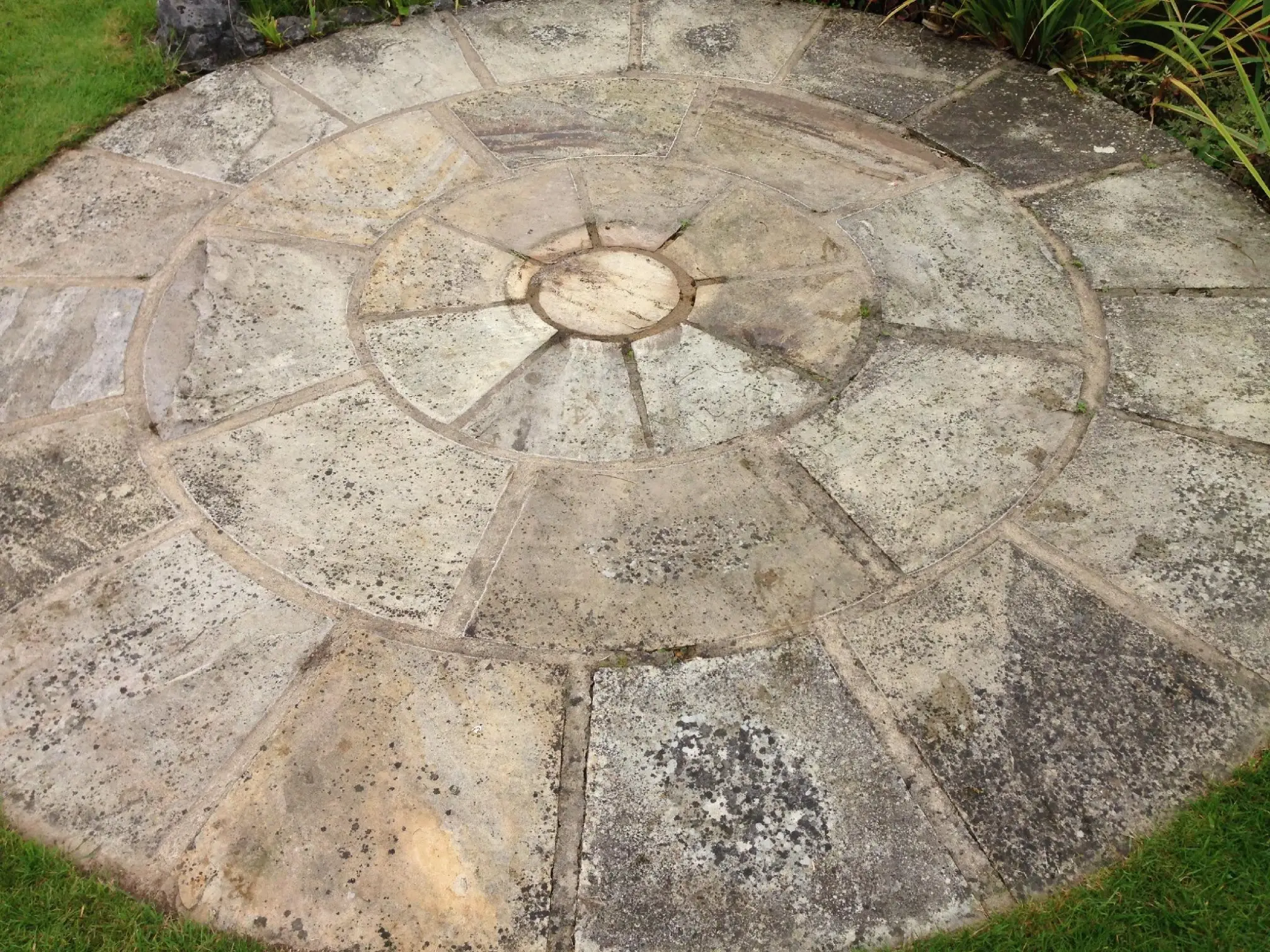 Images The Patio Black Spot Removal Co.Ltd