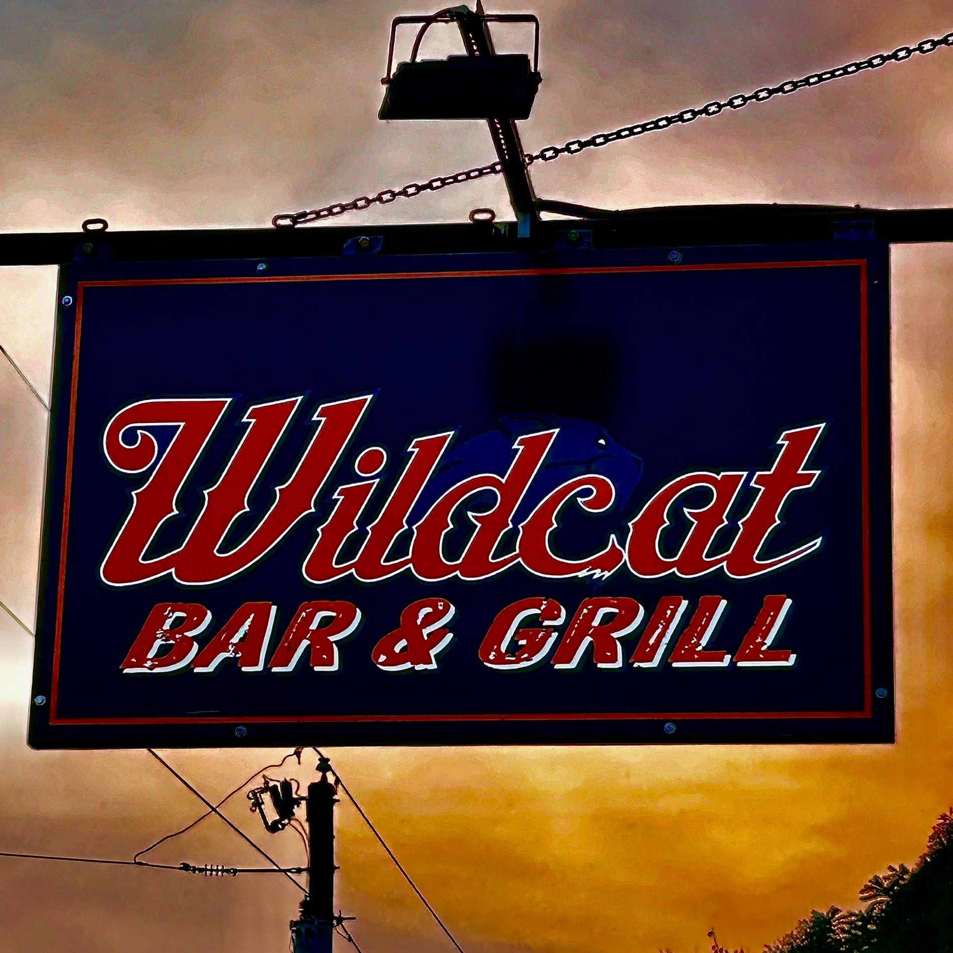 Wild Cat Bar & Grill