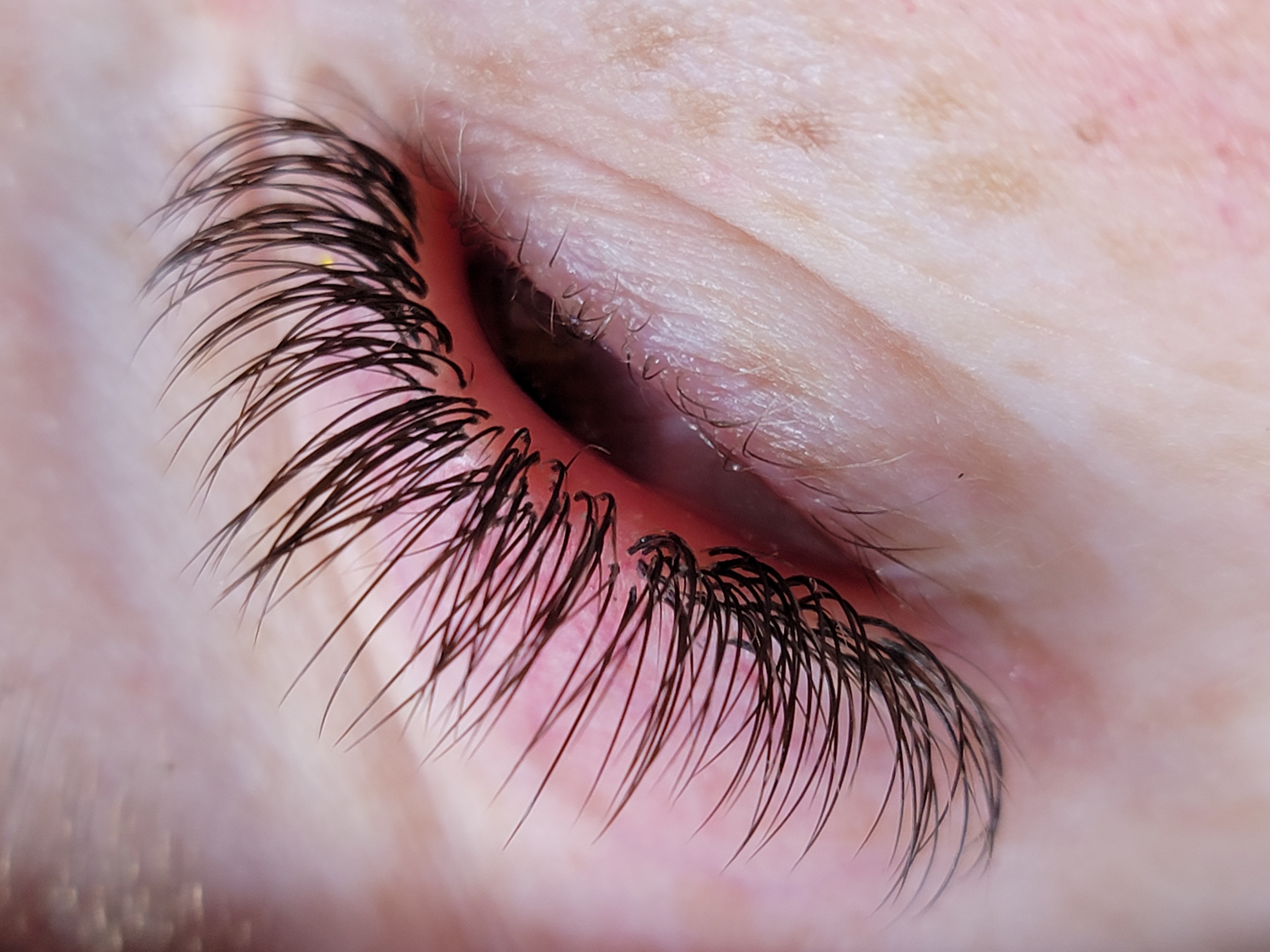 Images Lashista - Formation cils - Pose de cils - Produits de cils Longueuil