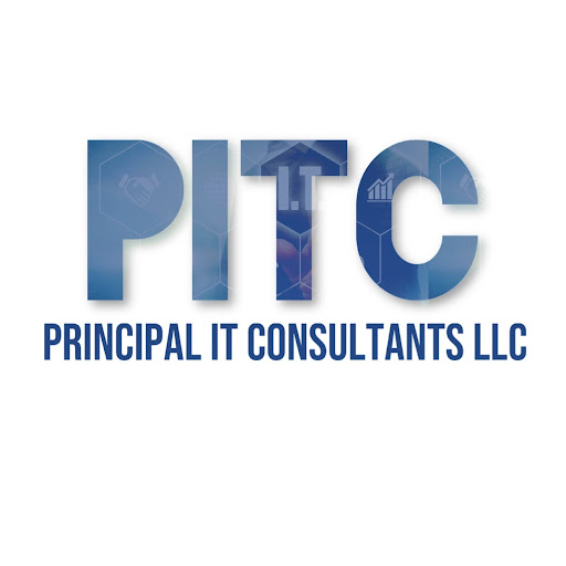 Principal IT Consultants