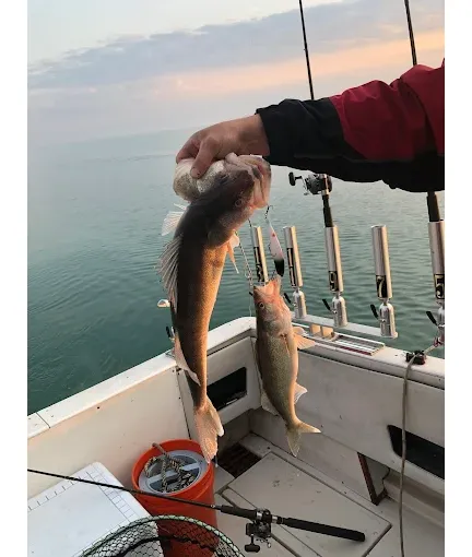 Images Sir Walleye Charters
