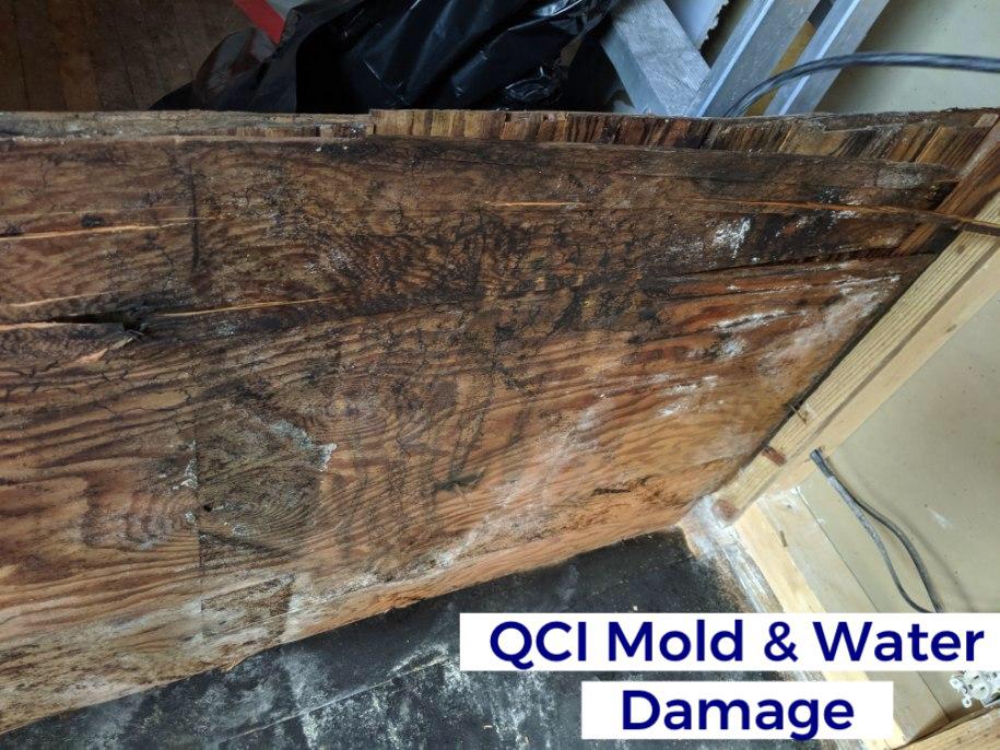 Image 10 | QCI Mold and Water Damage
