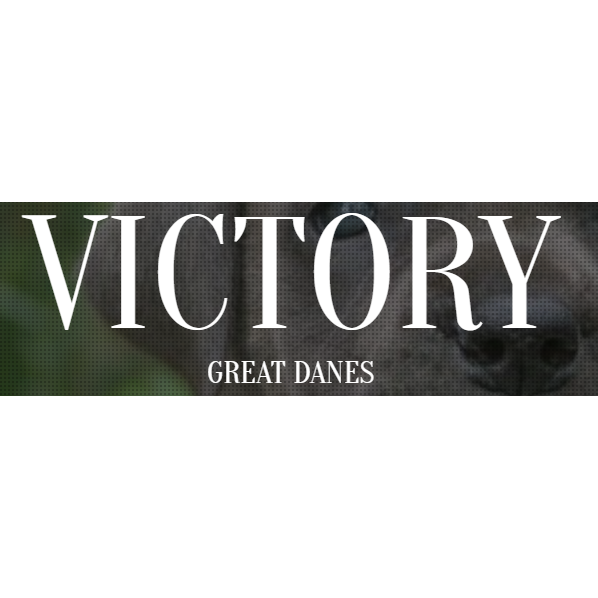 Victory Haven Logo