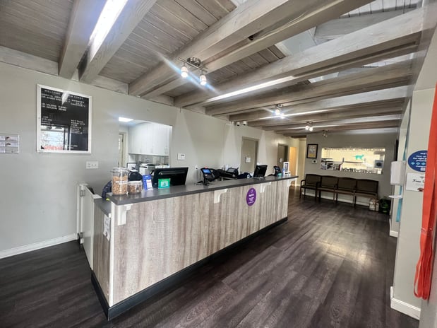 Images VCA Coast Animal Hospital