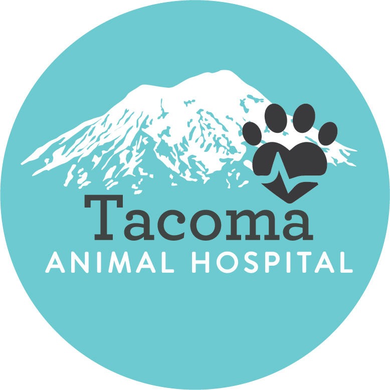 Tacoma Animal Hospital Tacoma (253)564-4255
