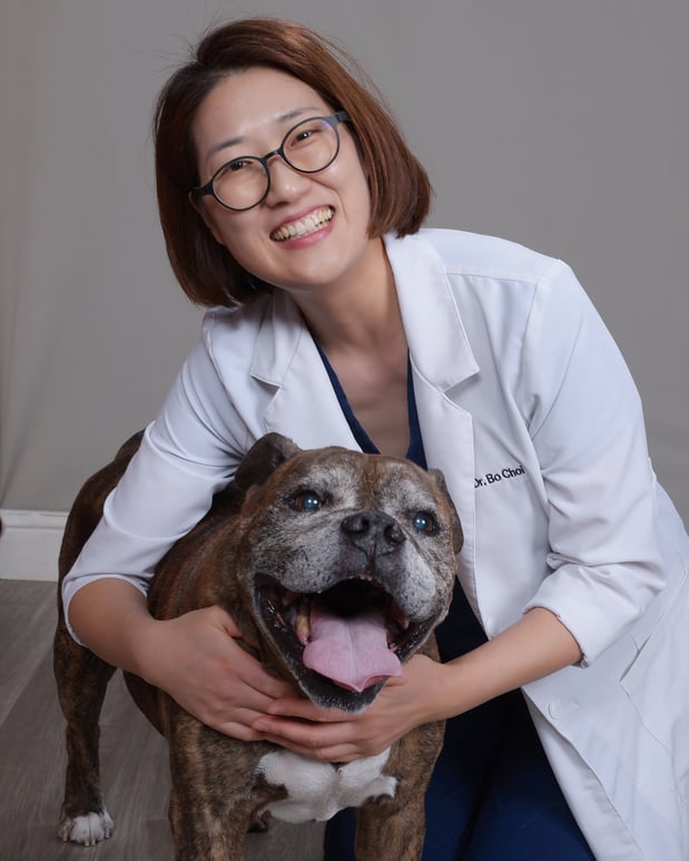 Images CityVet | Alexandria King Street