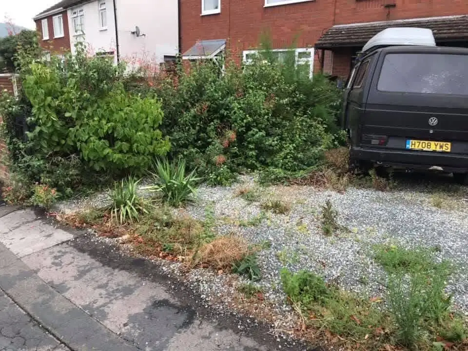 Images Oakwood Tree & Landscaping Services