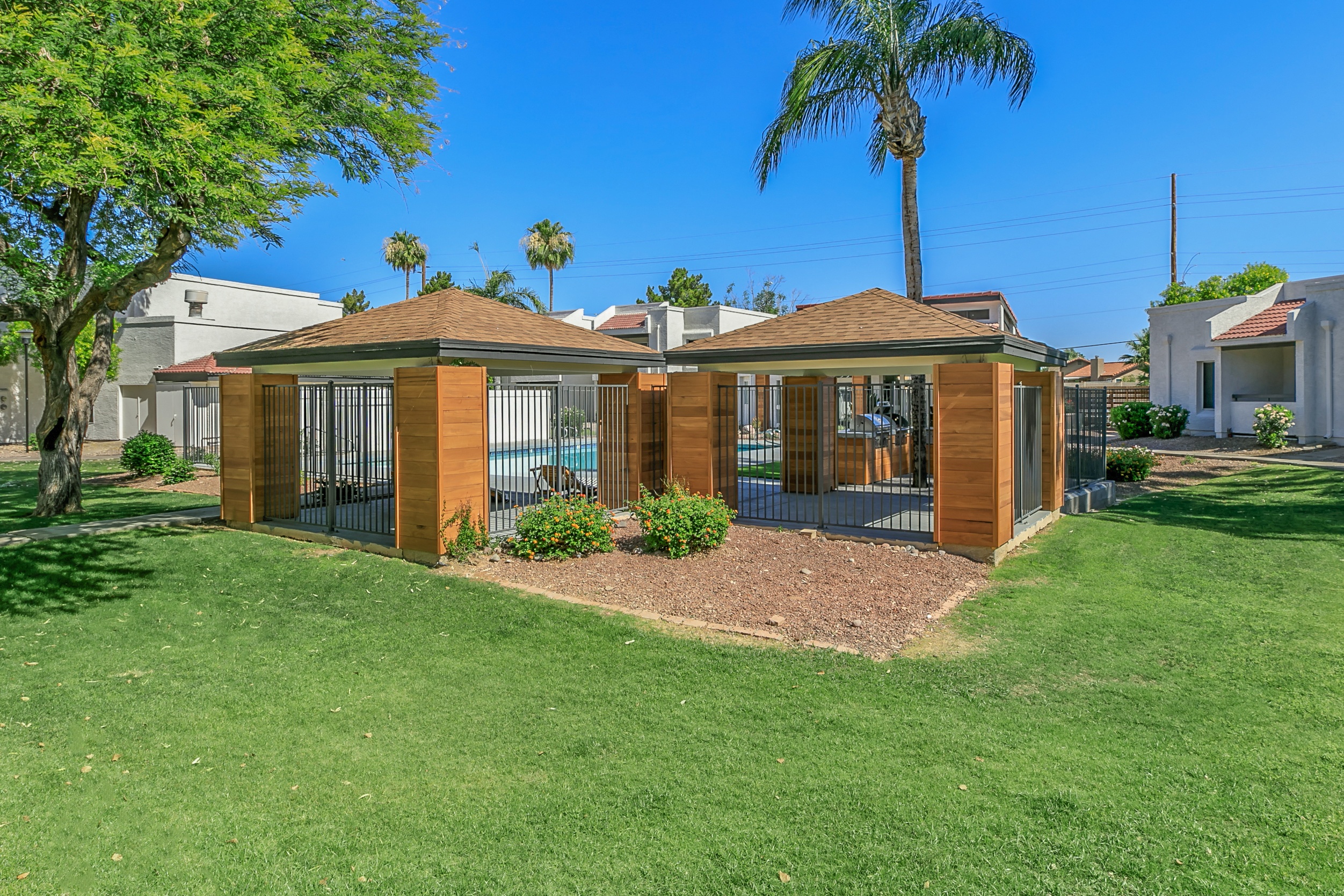 a small house with a gated yard and a palm tree