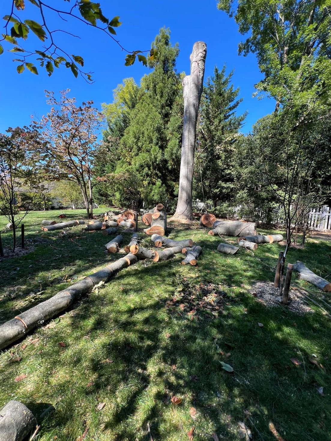 Blue Grid Solutions LLC Image