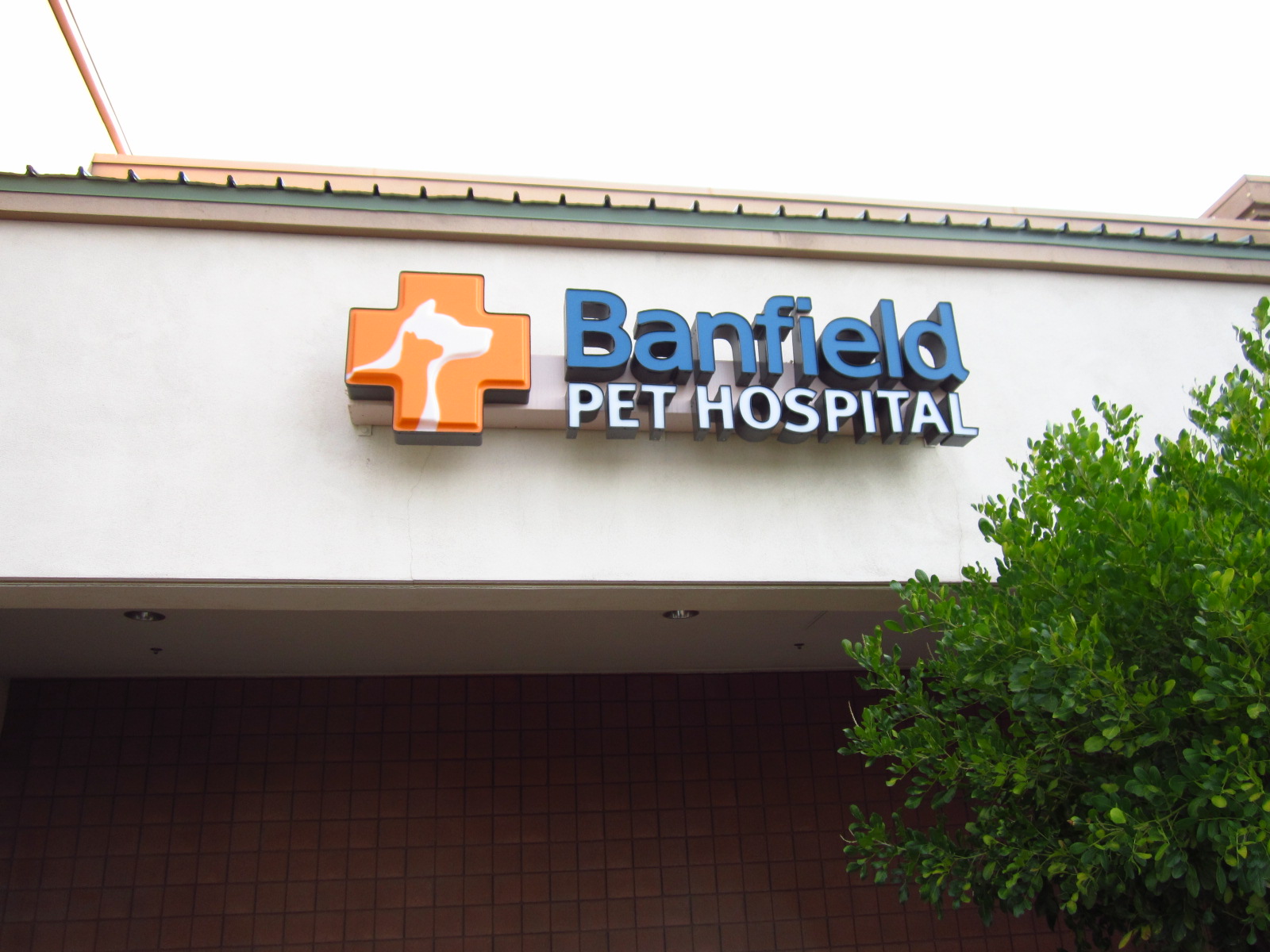 Banfield Pet Hospital® - Mesa North