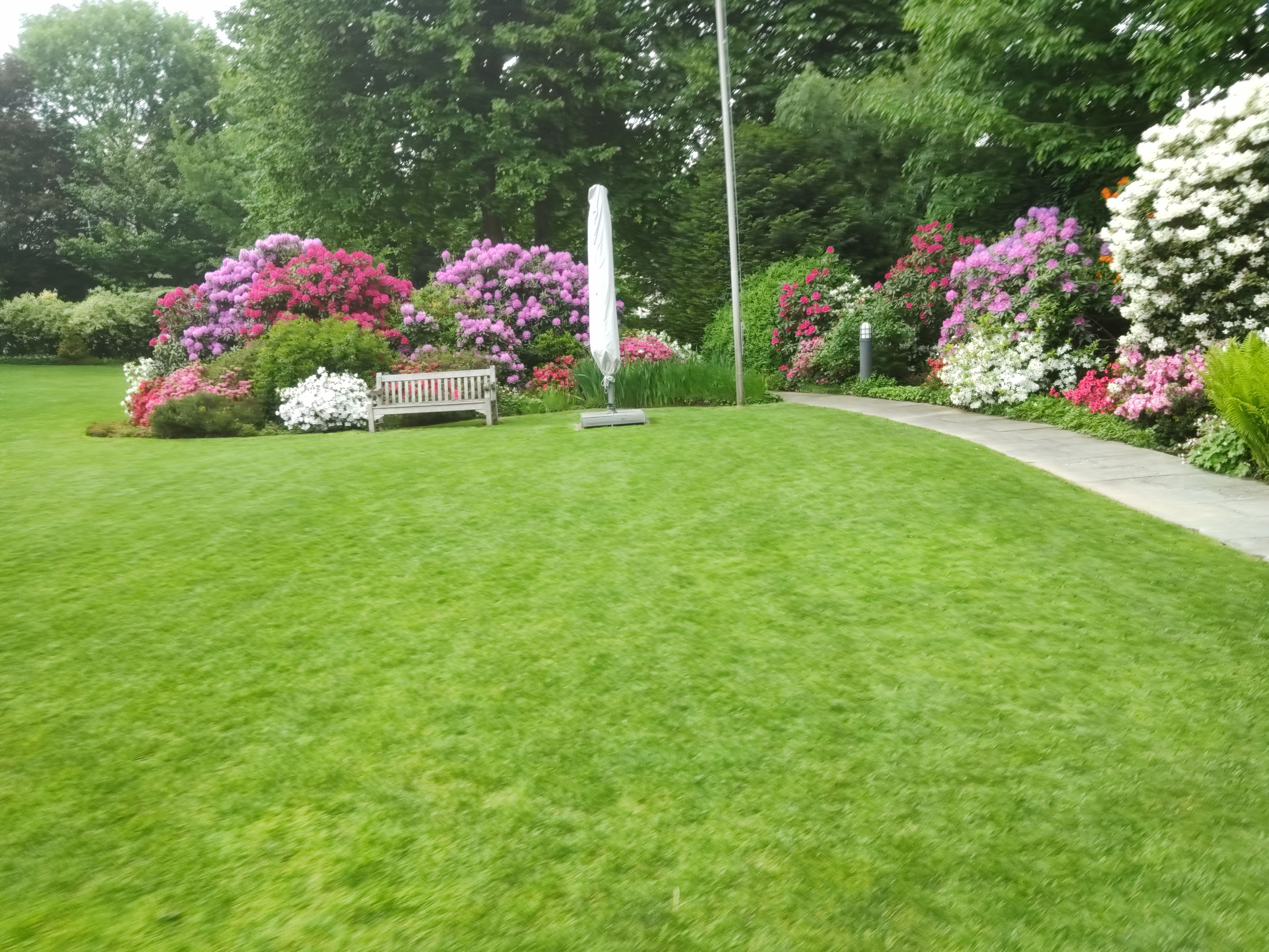 Bilder MM Gartenpflege GmbH
