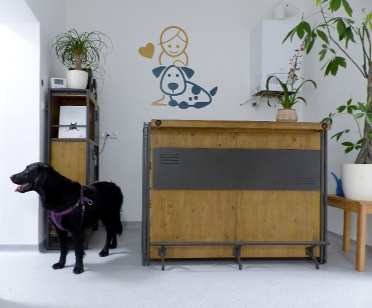 Hundehort Wien, Lange Gasse 58/1-4 in Wien