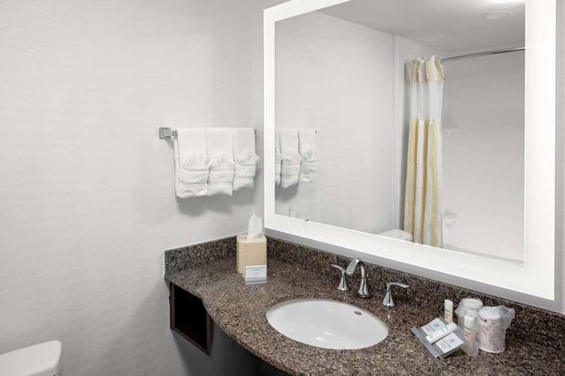 Images Hilton Garden Inn Atlanta Perimeter Center