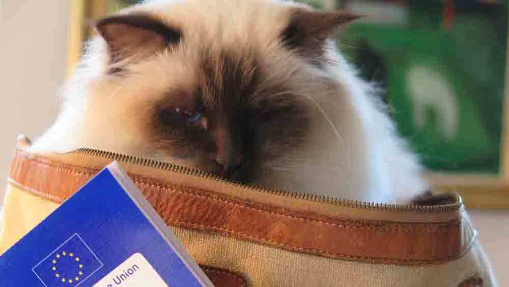 Images Store Heddinge Dyrehospital