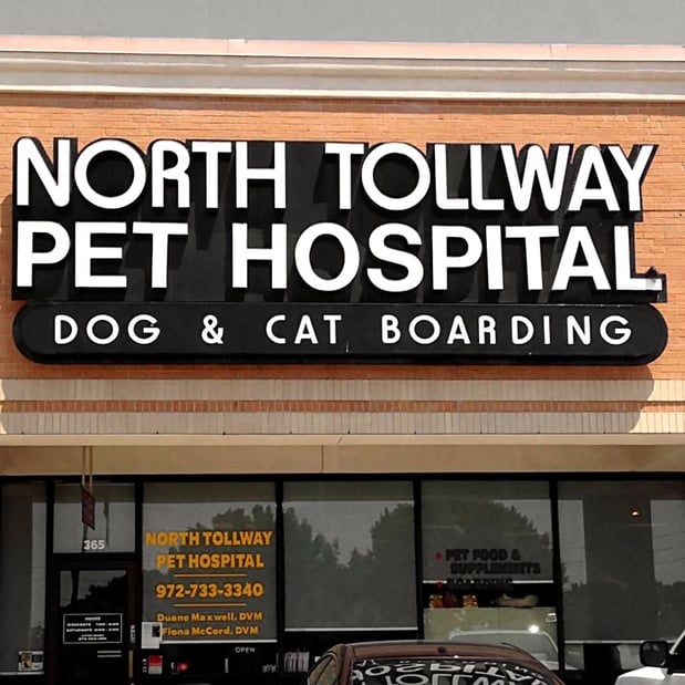 Images North Tollway Pet Hospital