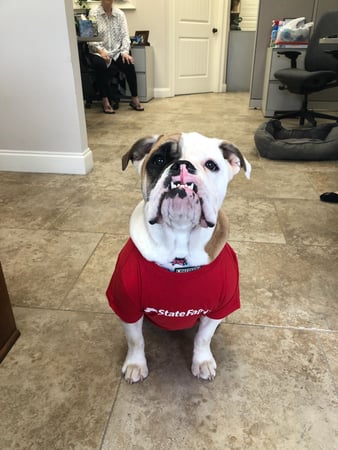 Images Chester Lewis - State Farm Insurance Agent