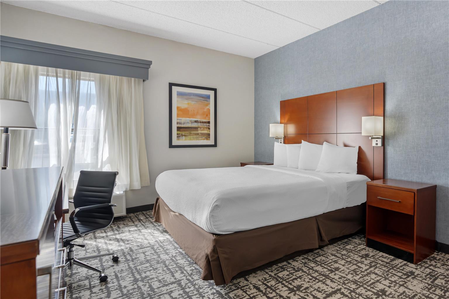 ADA - 1 King Bed w/ Roll In Shower