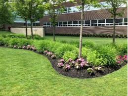 Images Exterior Greenery LLC