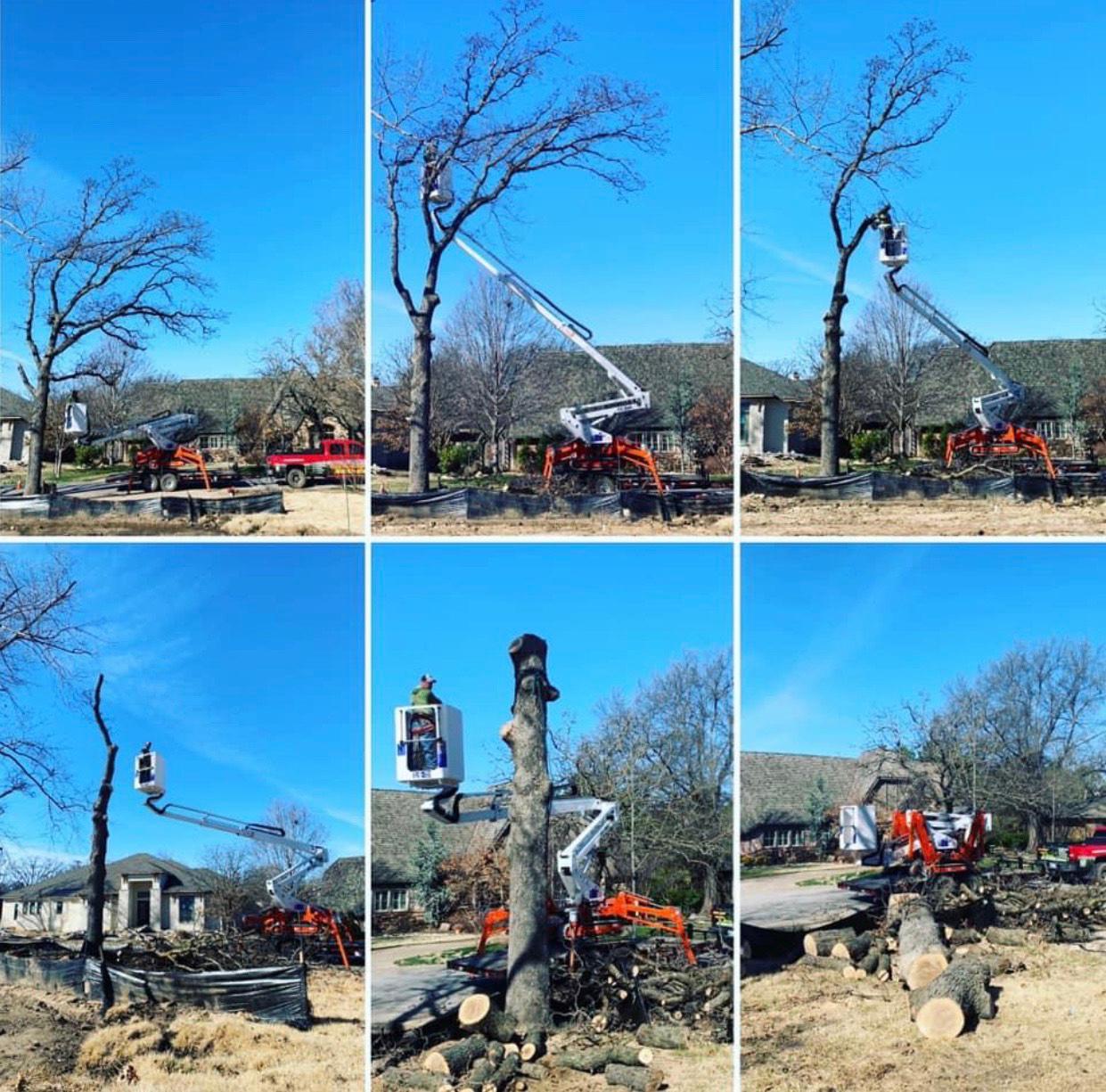 T & M Tree Service Photo