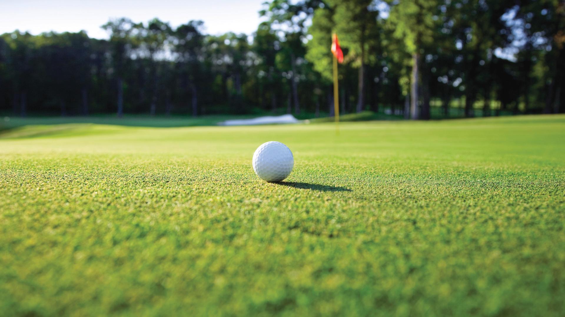 Play a round of golf at some of the nearby clubs